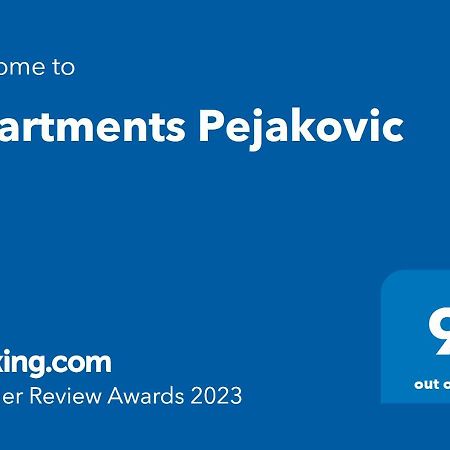 Apartments Pejakovic Vir Esterno foto