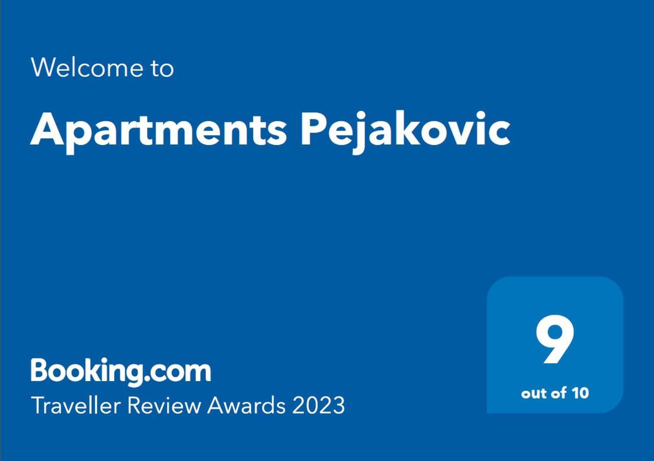 Apartments Pejakovic Vir Esterno foto